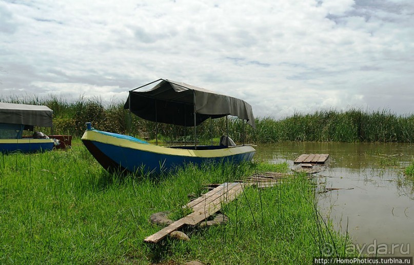 Дикий мир озера Чамо