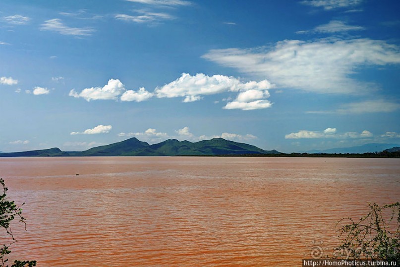 Дикий мир озера Чамо