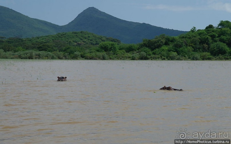 Дикий мир озера Чамо