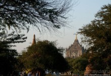 Город пагод и ступ. Такие разные ступы