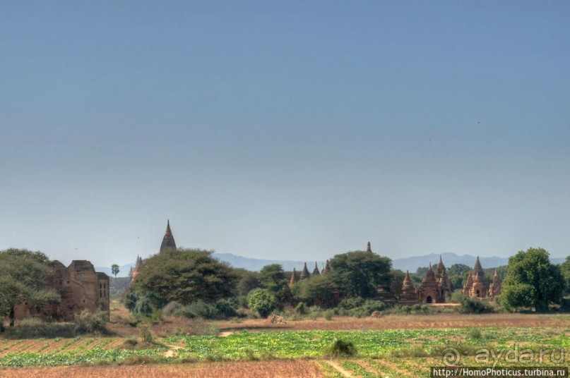 Город пагод и ступ. Такие разные ступы