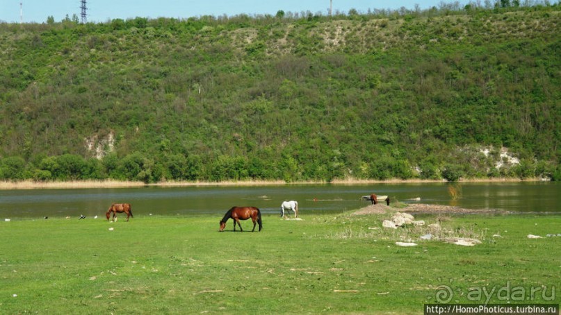 От Орфея до Стефана Великого