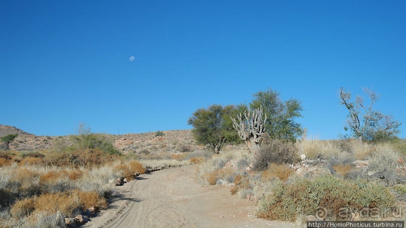 Закатный водопой