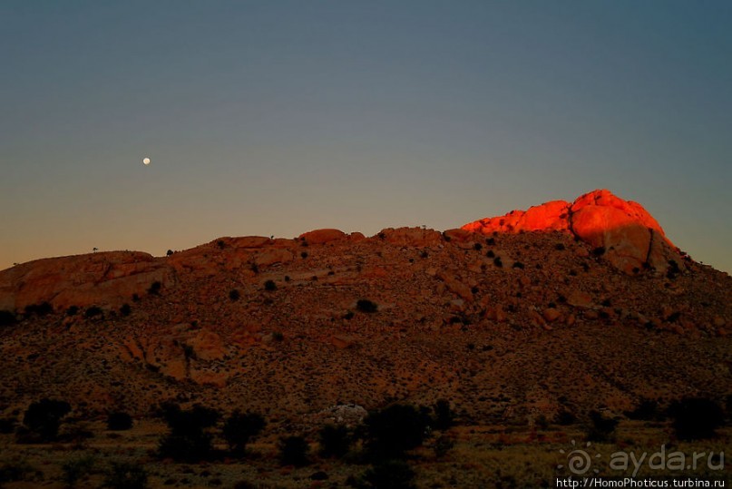 Закатный водопой