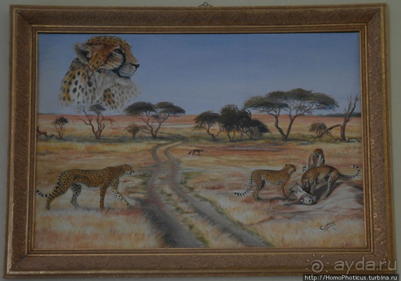 Закатный водопой