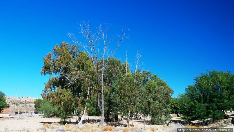 Закатный водопой