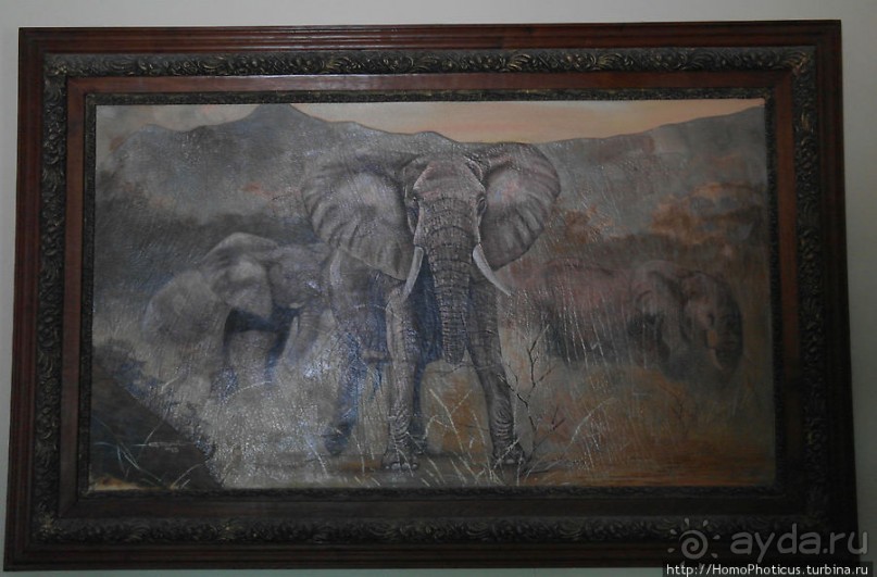 Закатный водопой