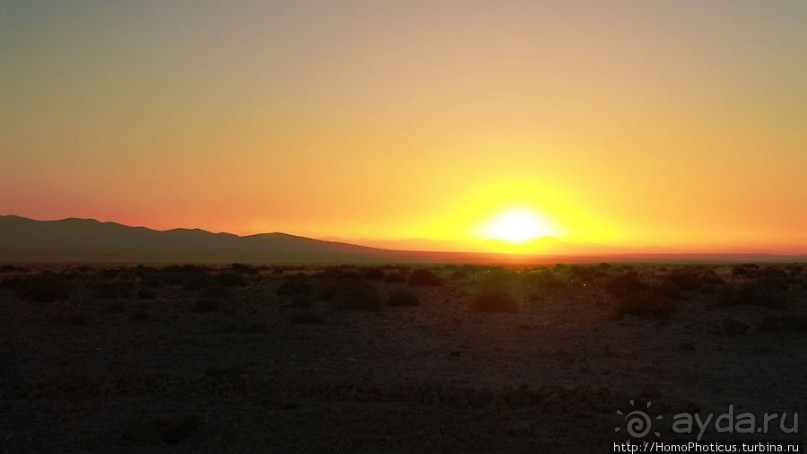 Закатный водопой