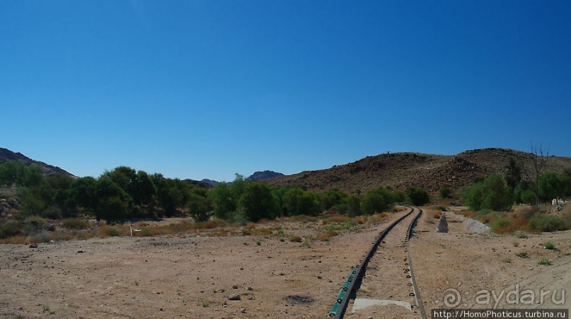Закатный водопой