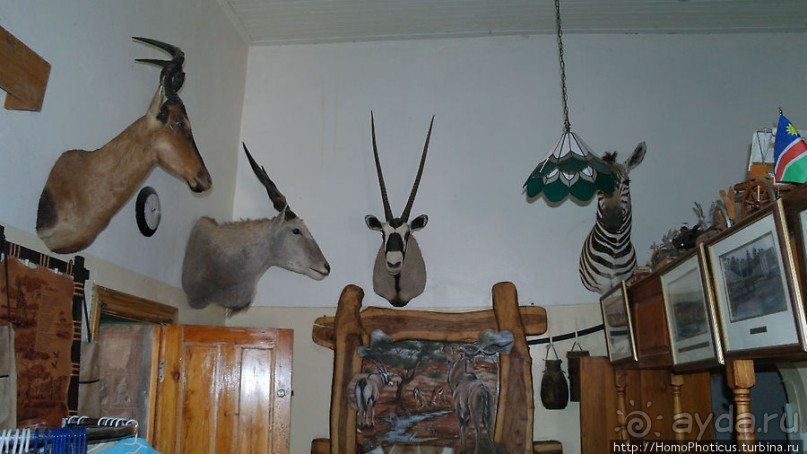 Закатный водопой