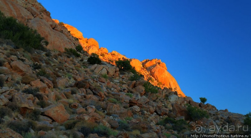 Закатный водопой