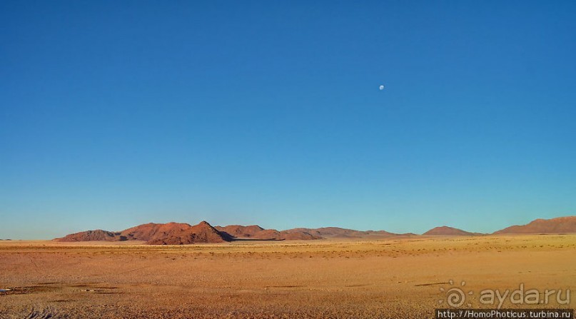 Закатный водопой