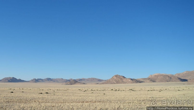 Закатный водопой