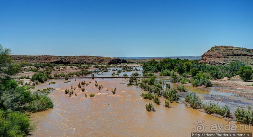 Закатный водопой