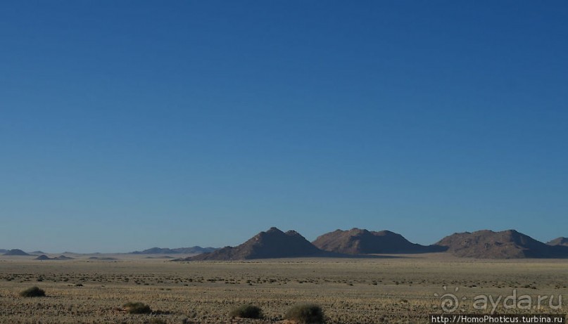 Закатный водопой