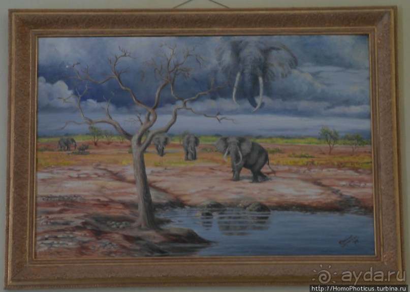 Закатный водопой