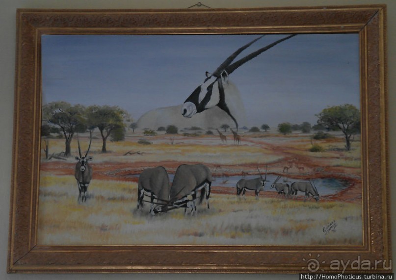 Закатный водопой