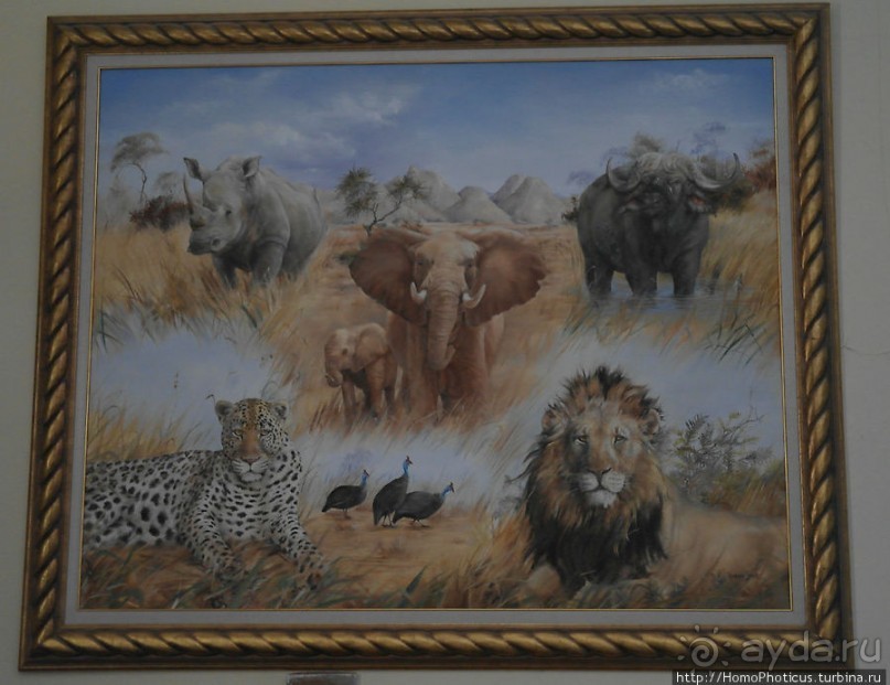 Закатный водопой