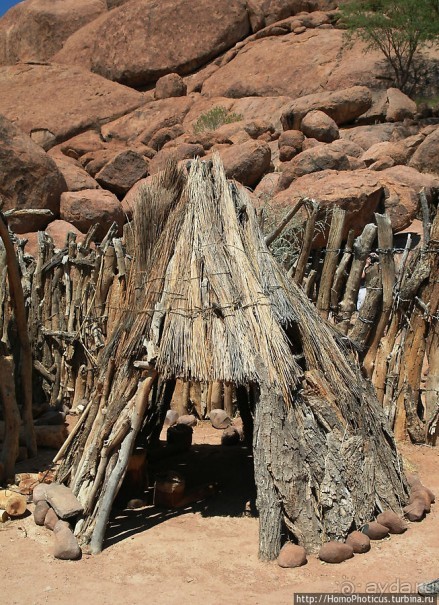 В гостях у Дамара