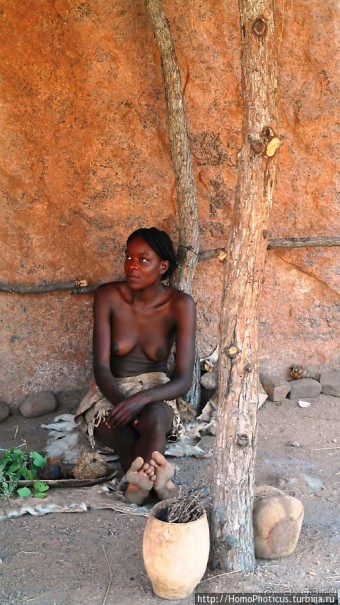 В гостях у Дамара