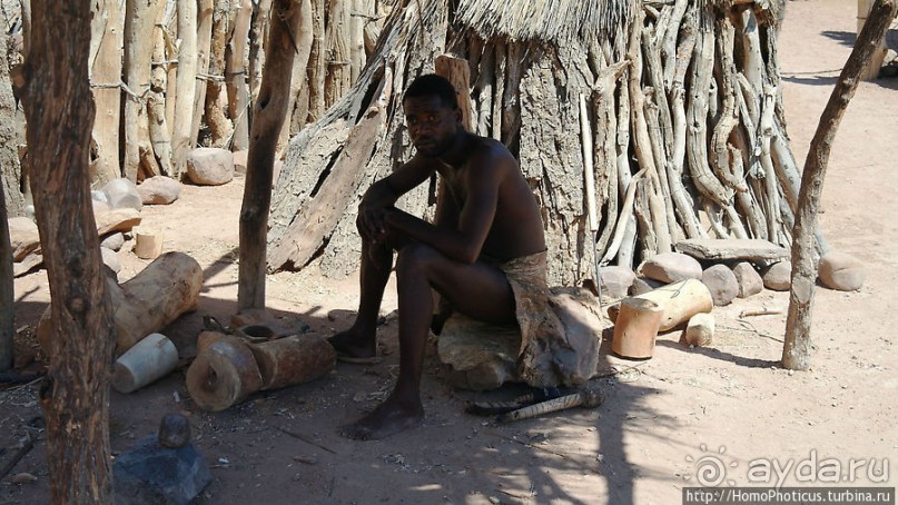 В гостях у Дамара