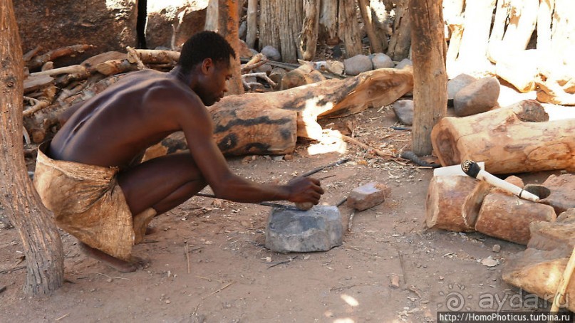 В гостях у Дамара