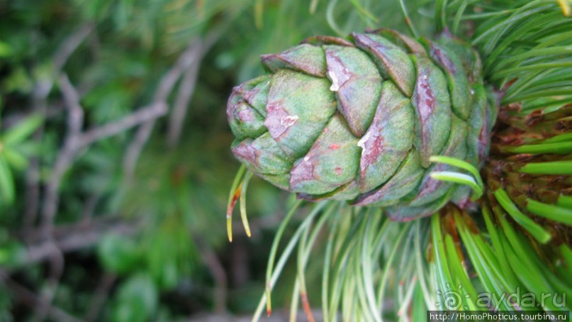 На острове - нормальная погода!