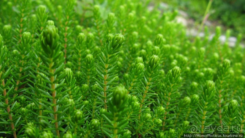 На острове - нормальная погода!