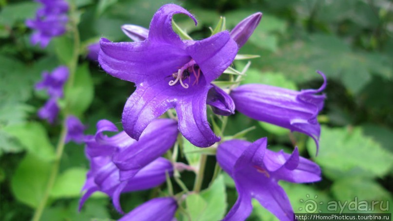 На острове - нормальная погода!