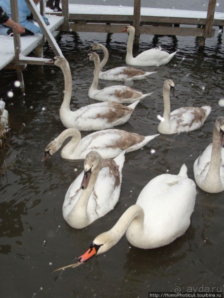 Снежный Изборск