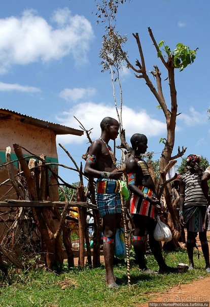 Абиссинские хроники. IV. Параллельная реальность