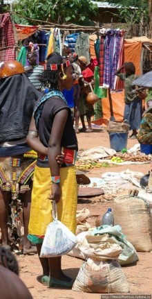 Абиссинские хроники. IV. Параллельная реальность