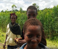 Абиссинские хроники. IV. Параллельная реальность