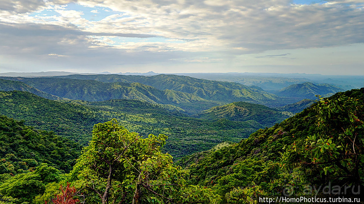 Абиссинские хроники. IV. Параллельная реальность