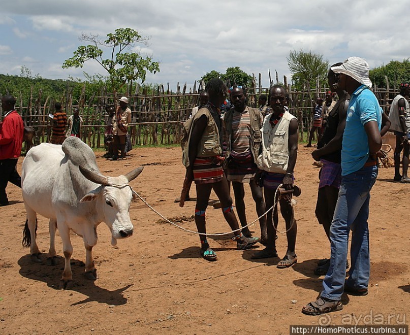 Абиссинские хроники. IV. Параллельная реальность