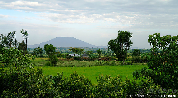 Абиссинские хроники. IV. Параллельная реальность