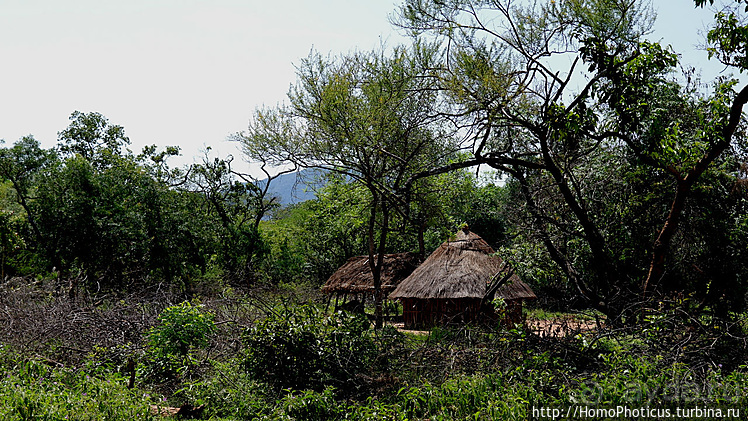 Абиссинские хроники. IV. Параллельная реальность