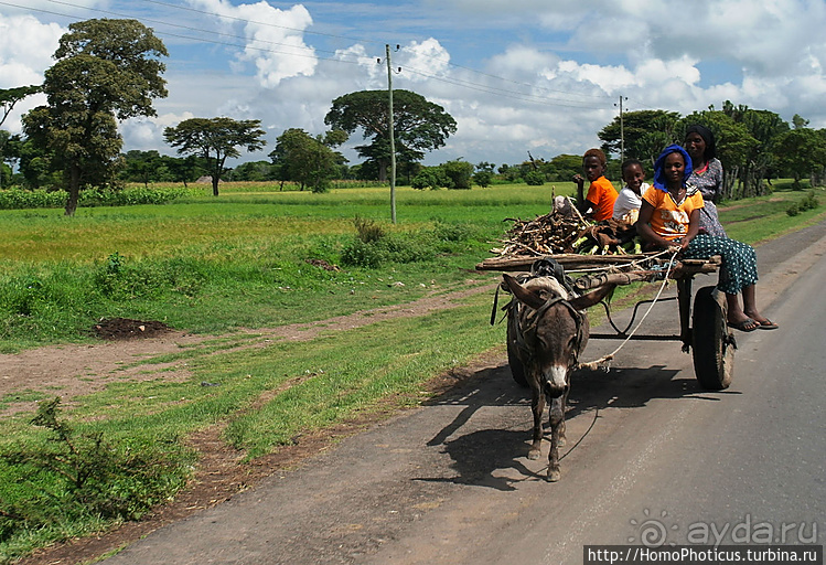 Абиссинские хроники. IV. Параллельная реальность