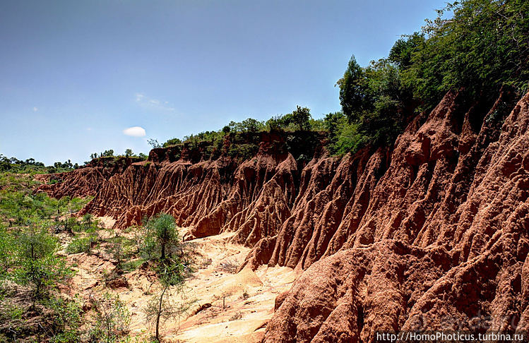 Абиссинские хроники. IV. Параллельная реальность