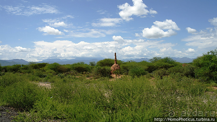 Абиссинские хроники. IV. Параллельная реальность