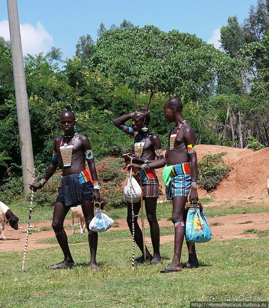 Абиссинские хроники. IV. Параллельная реальность