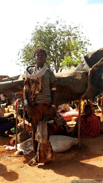 Абиссинские хроники. IV. Параллельная реальность