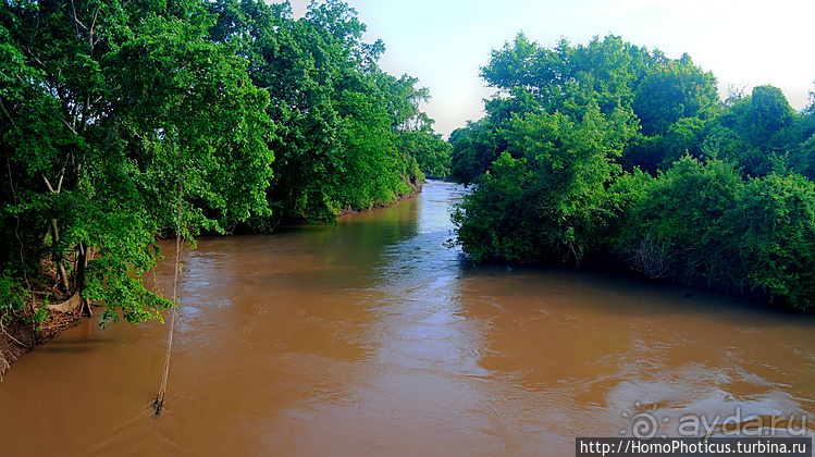 Абиссинские хроники. IV. Параллельная реальность
