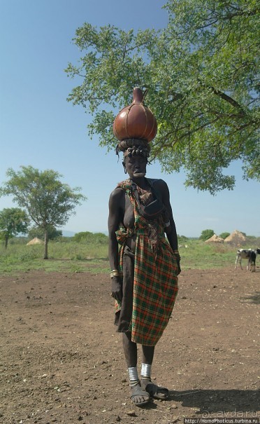 Абиссинские хроники. IV. Параллельная реальность