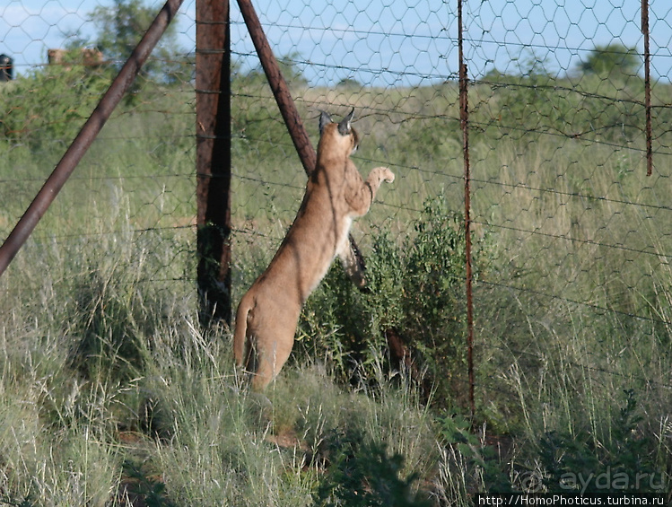 Намибийские пейзажи. Ч.2 Южные зарисовки