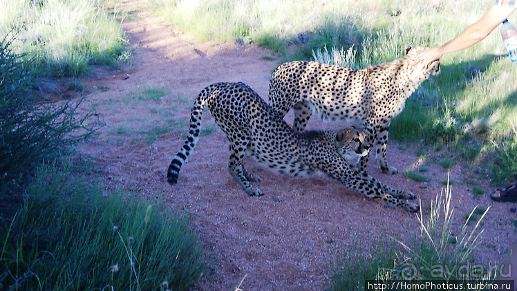 Намибийские пейзажи. Ч.2 Южные зарисовки