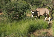 Намибийские пейзажи. Ч.2 Южные зарисовки