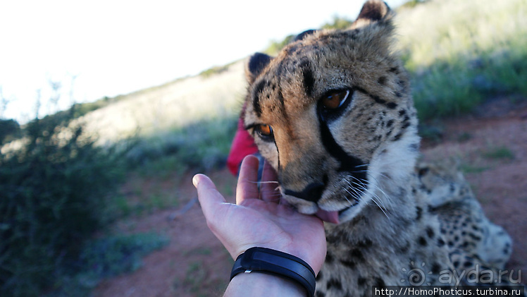 Намибийские пейзажи. Ч.2 Южные зарисовки