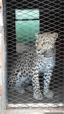 Намибийские пейзажи. Ч.2 Южные зарисовки