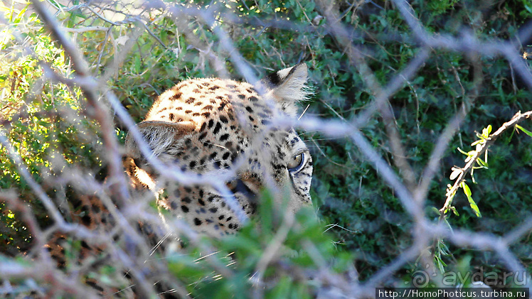 Намибийские пейзажи. Ч.2 Южные зарисовки